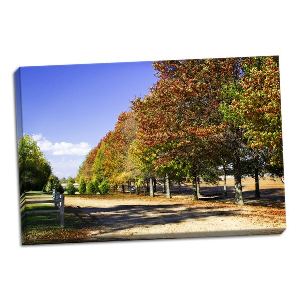 Charlton Home® 'Plantation Road' Photographic Print On Wrapped Canvas ...